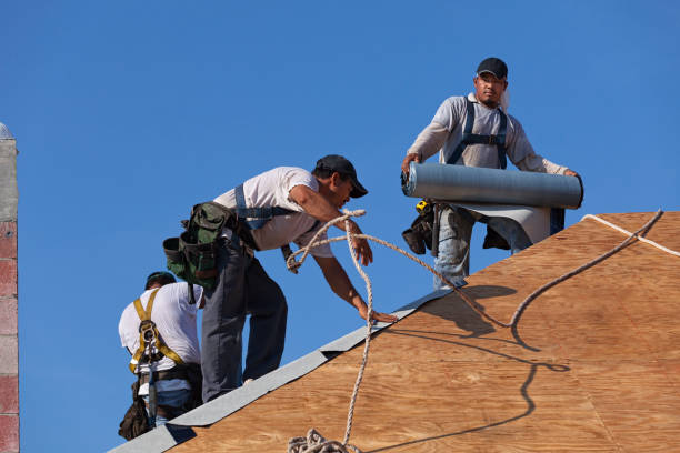 Best Roof Maintenance Services  in Harbour Heights, FL