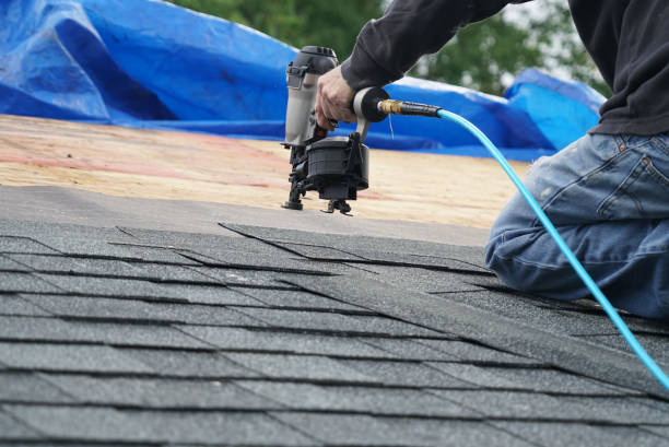 Quick and Trustworthy Emergency Roof Repair Services in Harbour Heights, FL